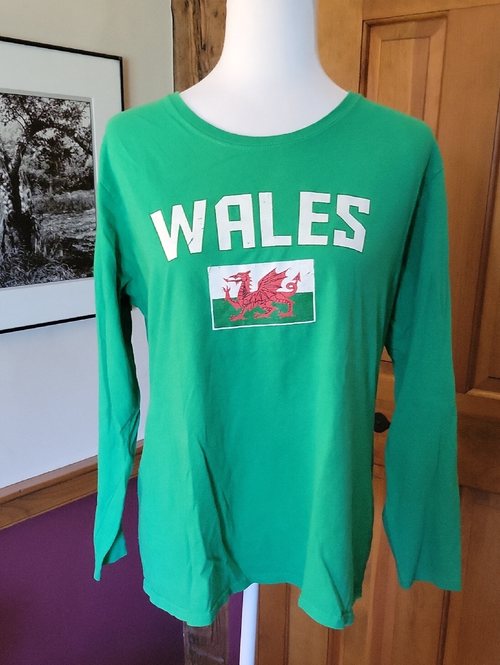 Green Wales Graphic Long Sleeve Tee - Picture 2 of 5